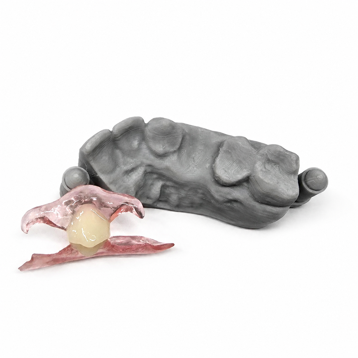 Single-Tooth Flexible Flipper