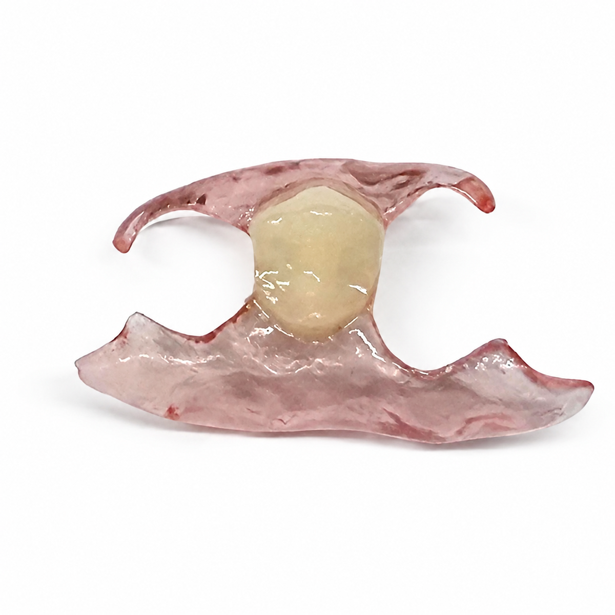 Single-Tooth Flexible Flipper