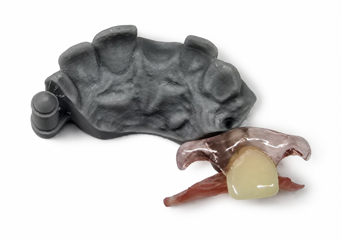 Single-Tooth Flexible Flipper