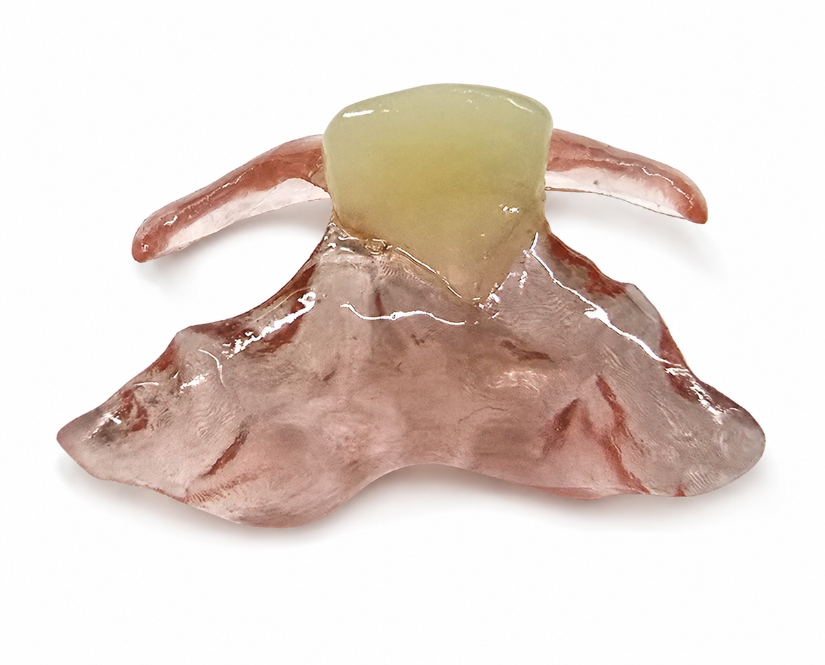 Single-Tooth Flexible Flipper