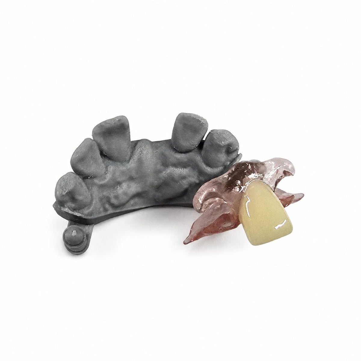 Single-Tooth Flexible Flipper