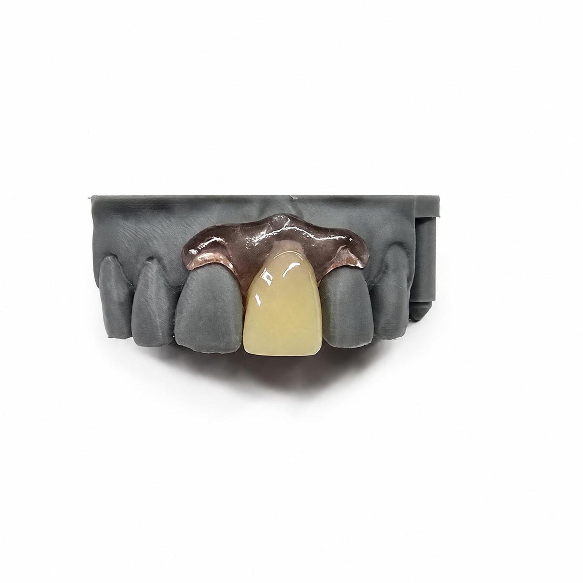 Single-Tooth Flexible Flipper