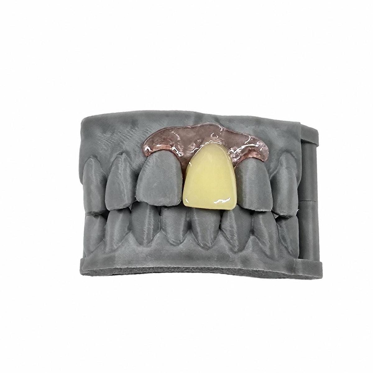 Single-Tooth Flexible Flipper