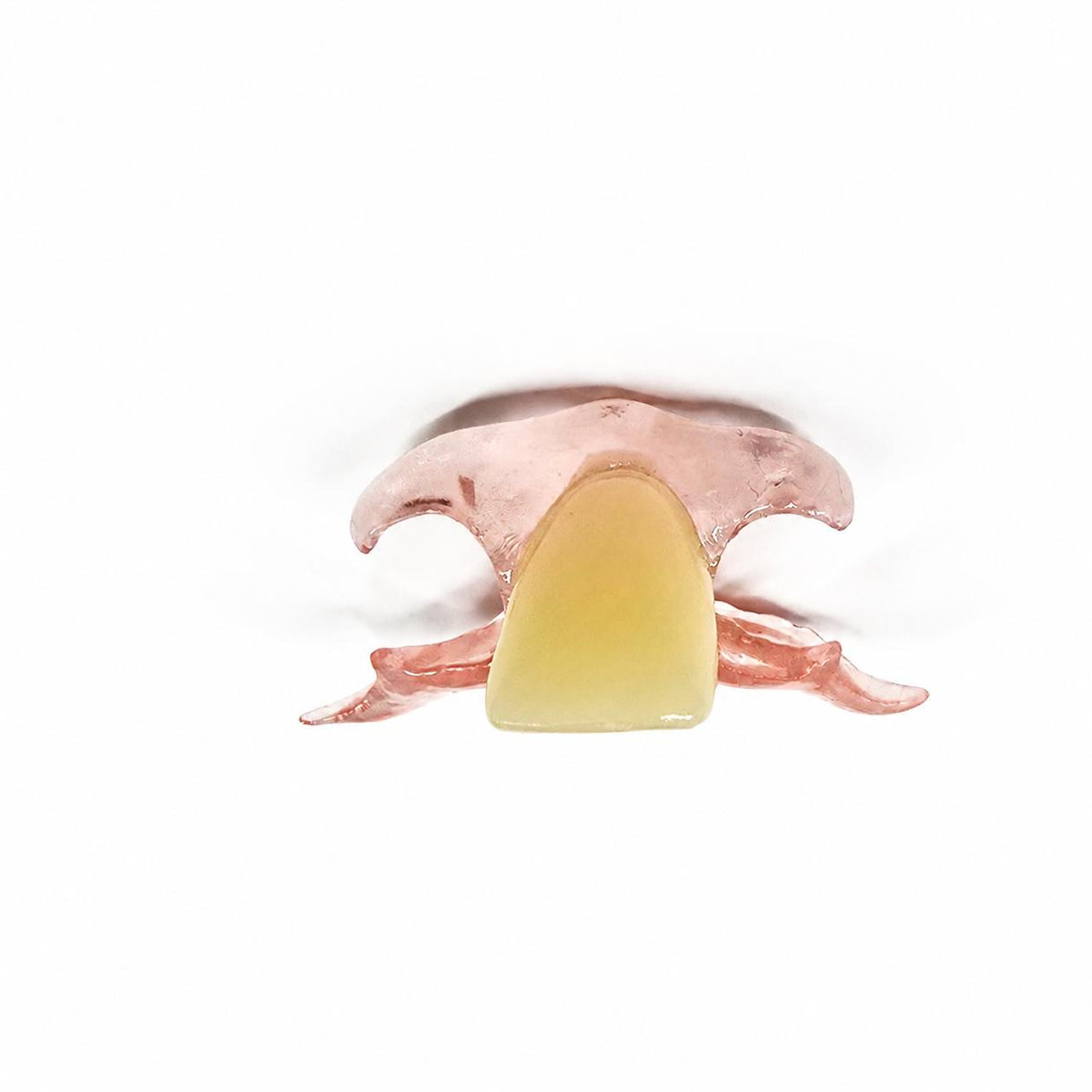 Single-Tooth Flexible Flipper