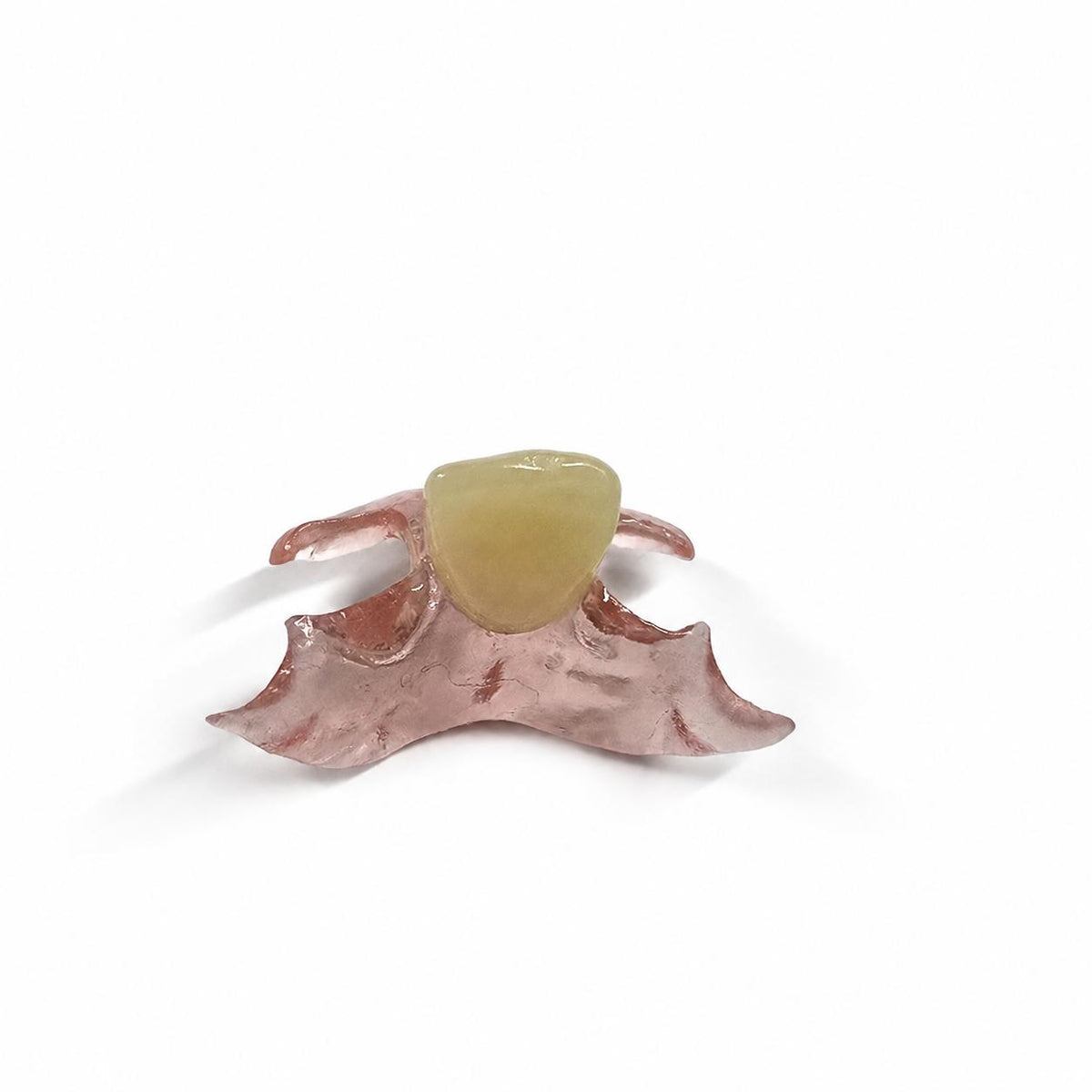 Single-Tooth Flexible Flipper